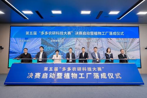 京沪浙三地四队手搓植物工厂 用国产技术种出实惠的国产草莓