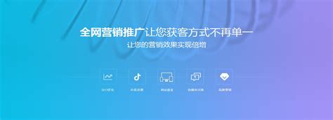 网络推广资源保障情况(2025年02月实测) 体系解读与优化路径