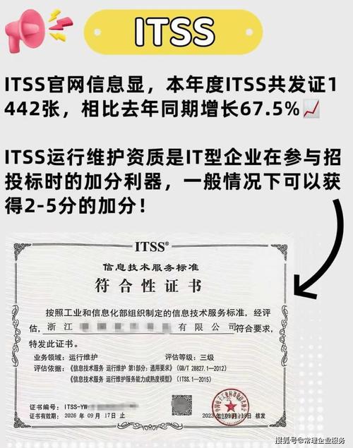 itss咨询 信息技术服务标准认定咨询 itss认证服务商 itss咨询公司 常